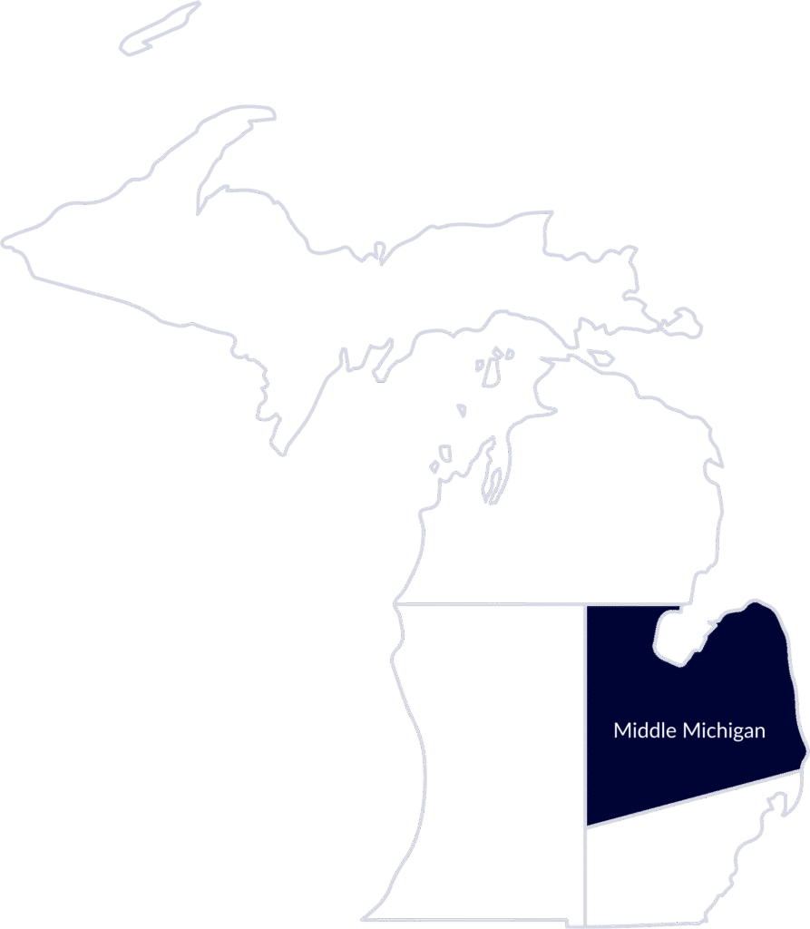 An illustration depicting the middle-Michigan region.