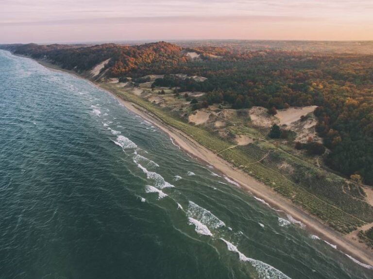 A vast shoreline with greenery and trees along the coast.